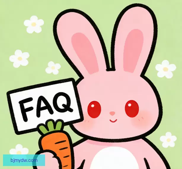 常见问题